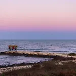 Casa Dei Visionari - Mare * Bari